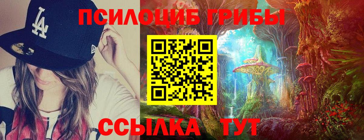 Галлюциногенные грибы мухоморы Ярославль
