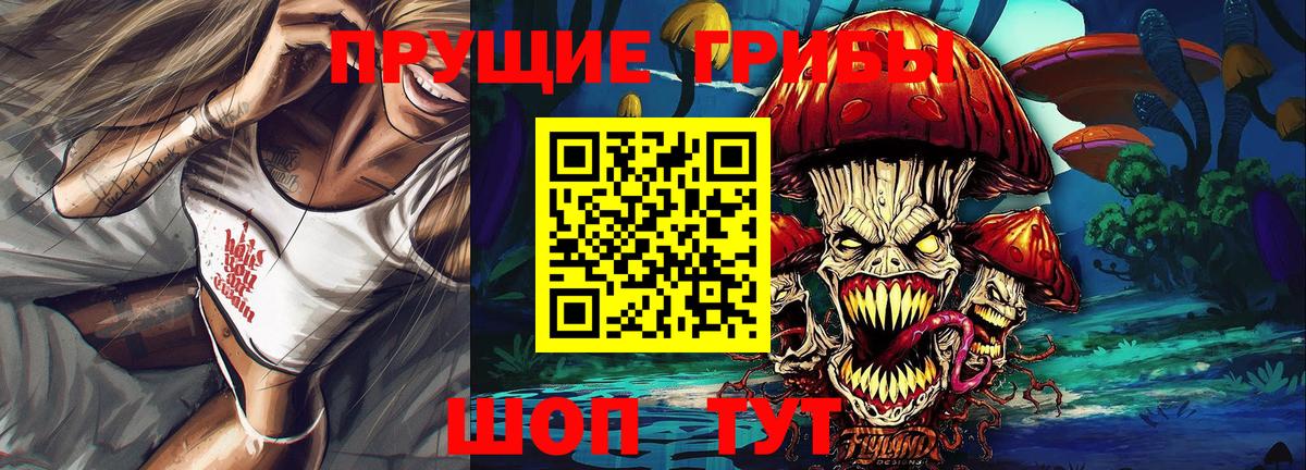 Ярославль  Псилоцибиновые грибы Psilocybe  Вход с VPN  Псилоцибиновые грибы Psilocybine cubensis 