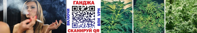 Конопля конопля  Ярославль 
