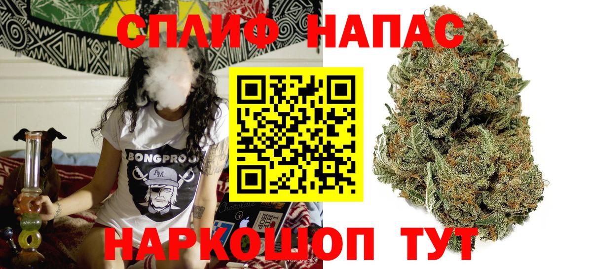 Каннабис план Ярославль